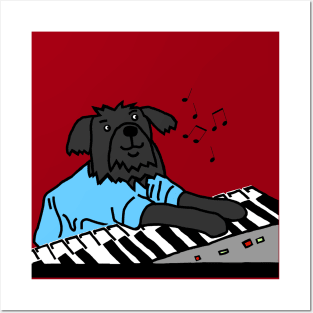 Funny Dog Plays Music on Piano Keyboard Posters and Art